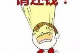 芦溪专业要账公司